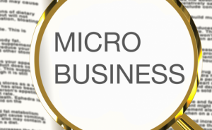 Micro-Business-in-Phuket-Thailand-570x350