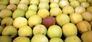 ცუდი თანამშრომელი – გაფუჭებული ვაშლის პრინციპი